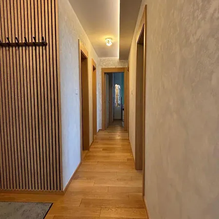 Mms * ノヴィ・サド