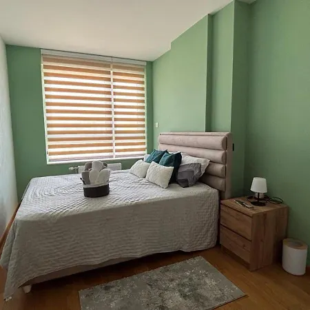 Mms * ノヴィ・サド